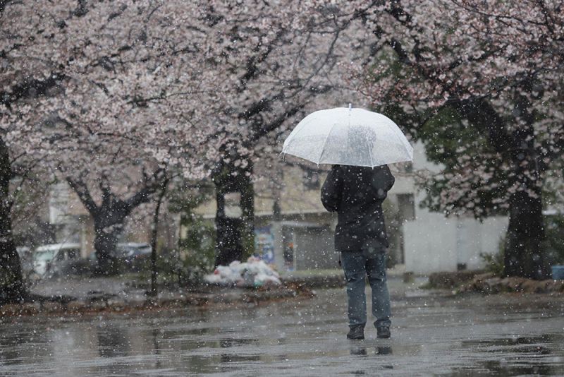 tuyết rơi trái mùa